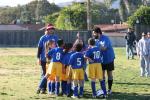 C-Elephants  0042_resize